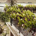 Lina Bed & Breakfast Venedig