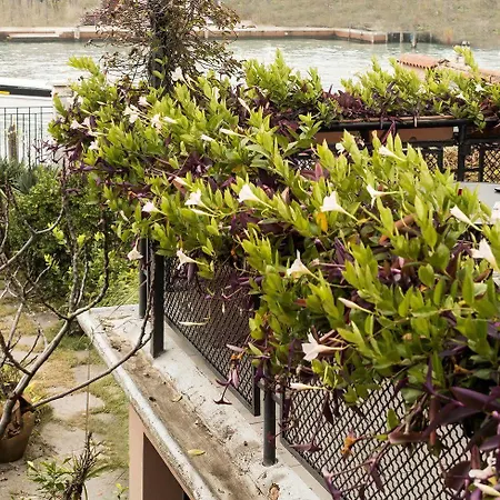 Lina Bed & Breakfast Venedig